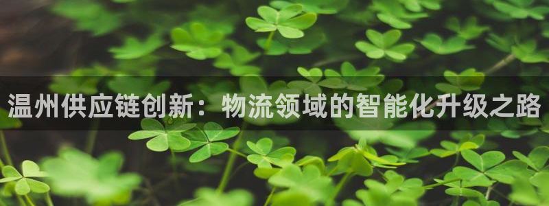 超凡国际免费充钱：温州供应链创新：物