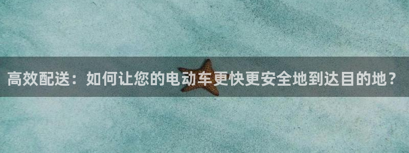 超凡国际登录不上咋回事：高效配送：如