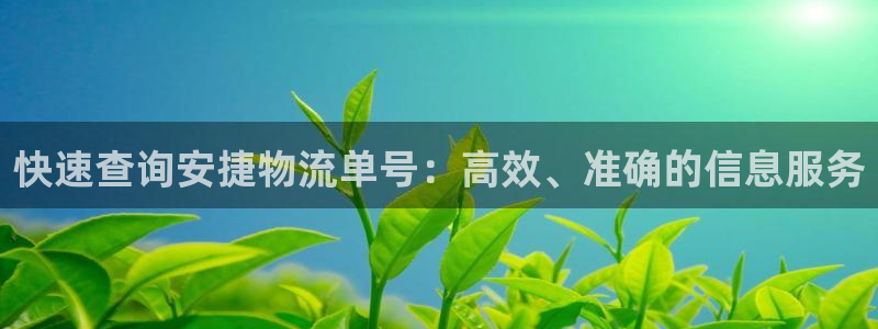 超凡国际注册登录：快速查询安捷物流单