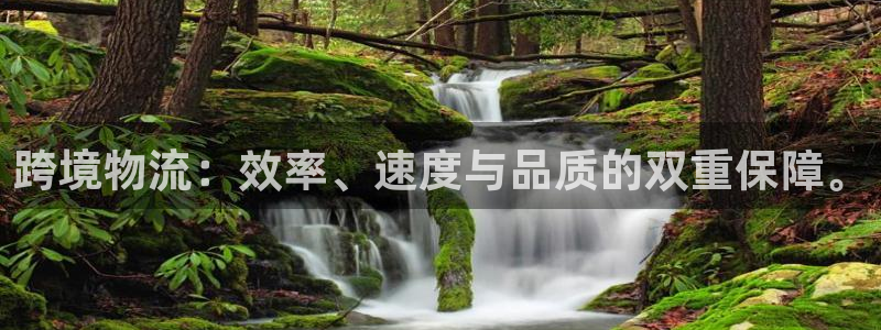 超凡国际加拿大官网：跨境物流：效率、