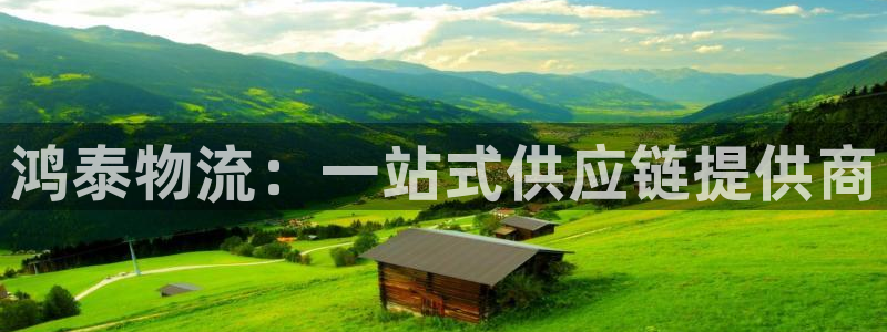 超凡国际官方版网站：鸿泰物流：一站式