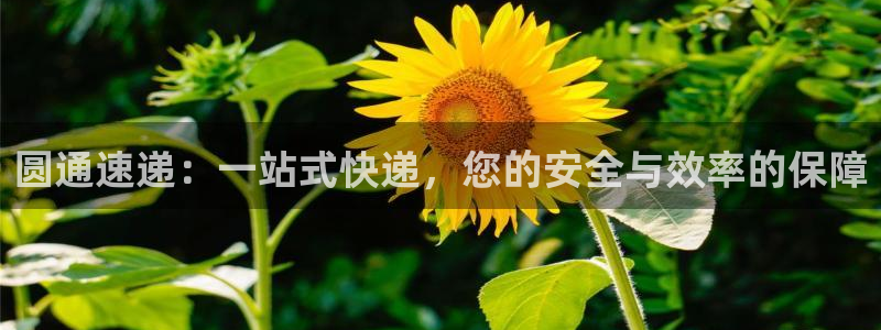 超凡国际圈助手：圆通速递：一站式快递