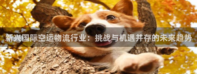 超凡国际自行车搞笑图片：新兴国际空运