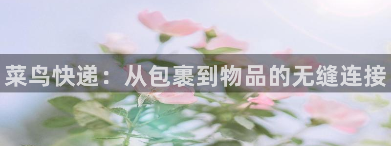 超凡国际分分28预测：菜鸟快递：从包