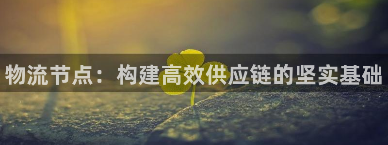 超凡国际玩法：物流节点：构建高效供应
