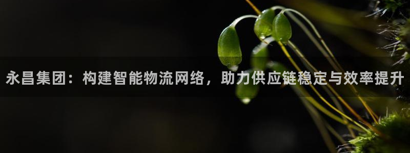 超凡国际的自行车：永昌集团：构建智能