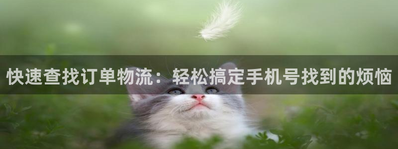超凡国际登录不上咋回事：快速查找订单