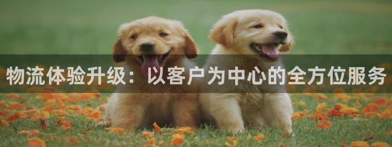 超凡国际官方平台：物流体验升级：以客
