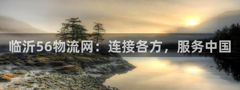 超凡国际p扣除是什么意思：临沂56物