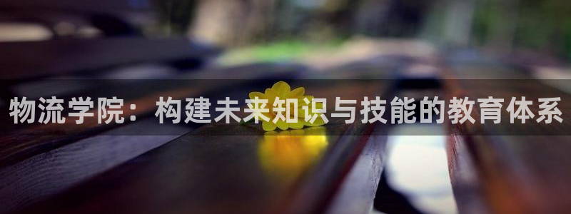超凡国际加拿大怎么玩：物流学院：构建
