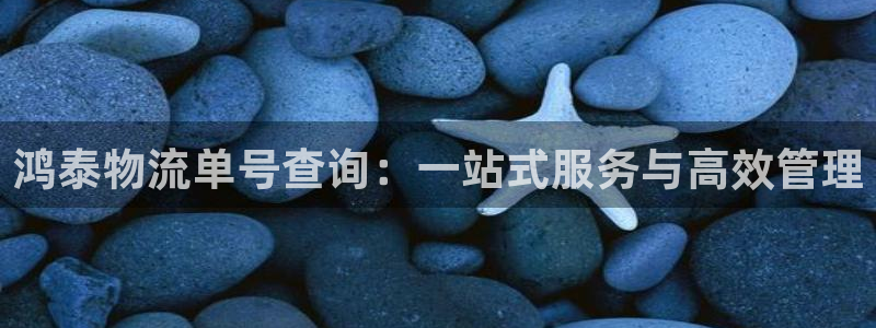 超凡国际黑款：鸿泰物流单号查询：一站式服务与高效管理
