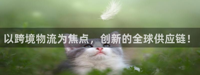 超凡国际预测：以跨境物流为焦点，创新