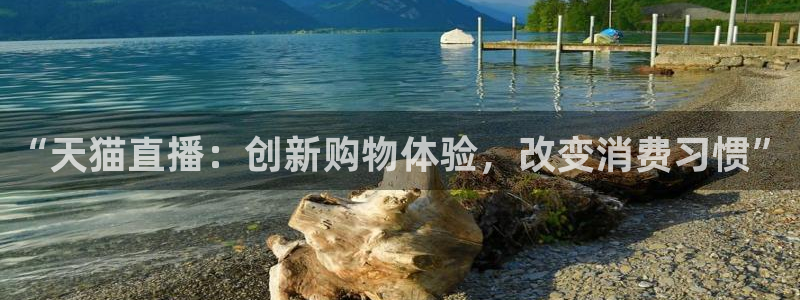 山猫体育直播免费观看