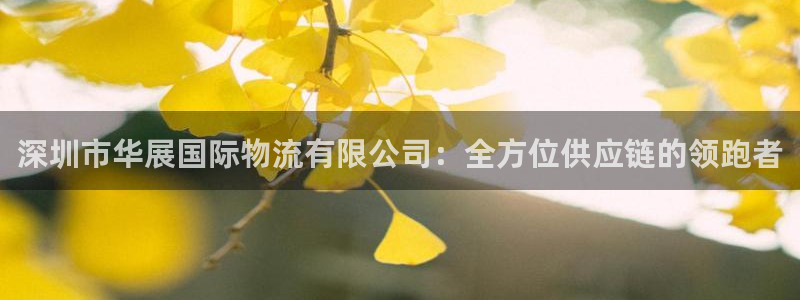 超凡国际赌博被抓：深圳市华展国际物流