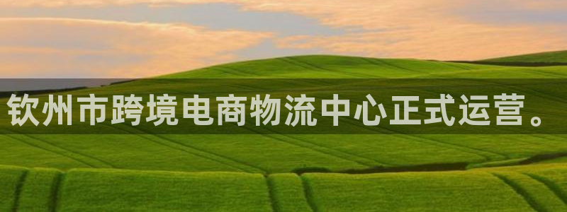 超凡国际推广链接是多少钱一个：钦州市