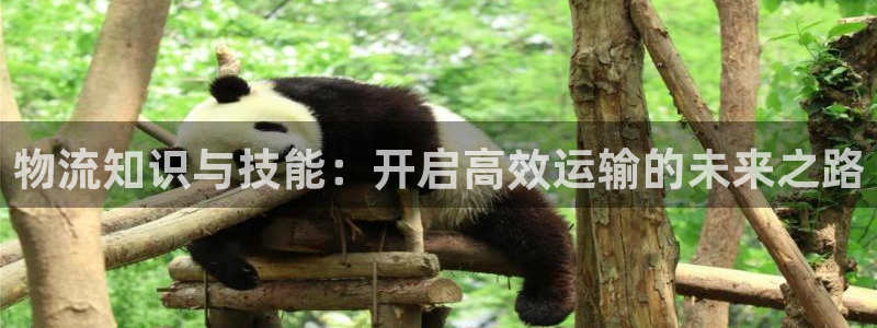 超凡国际怎么注册下载：物流知识与技能