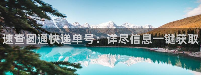 超凡国际模拟：速查圆通快递单号：详尽