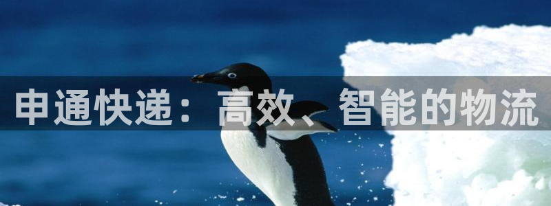 超凡国际注册链接入口：申通快递：高效