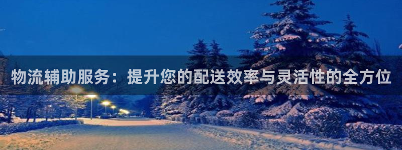 超凡国际注册步骤：物流辅助服务：提升