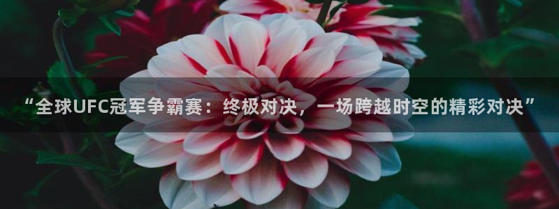山猫足球直播在线直播观看：“全球UFC冠军争霸赛：终极对决，一场跨越时空的精彩对决”