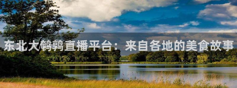 山猫体育足球免费：东北大鹌鹑直播平台：来自各地的美食故事