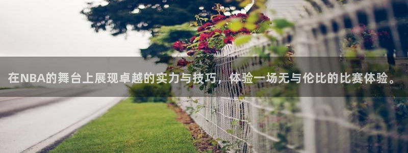 山猫体育直播平台：在NBA的舞台上展现卓越的实力与技巧，体验一场无与伦比的比赛体验。