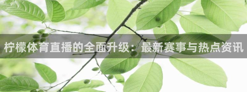 山猫直播足球免费观看高清版：柠檬体育直播的全面升级：最新赛事与热点资讯