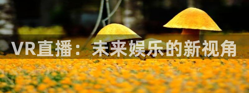 山猫免费体育赛事在线观看：VR直播：未来娱乐的新视角