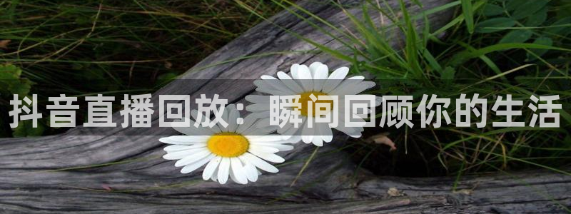 山猫体育nba视频直播：抖音直播回放：瞬间回顾你的生活