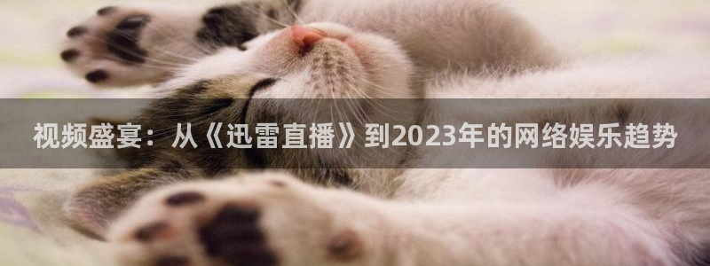 山猫体育直播：视频盛宴：从《迅雷直播》到2023年的网络娱乐趋势